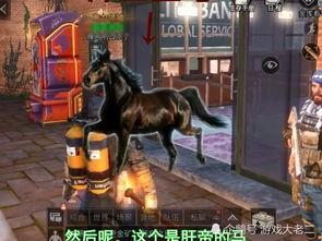 明日之后最新爆料几点,新爆料揭示生存世界五大变革